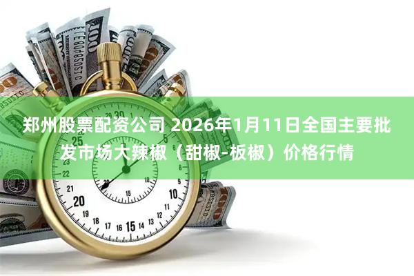 郑州股票配资公司 2026年1月11日全国主要批发市场大辣椒（甜椒-板椒）价格行情