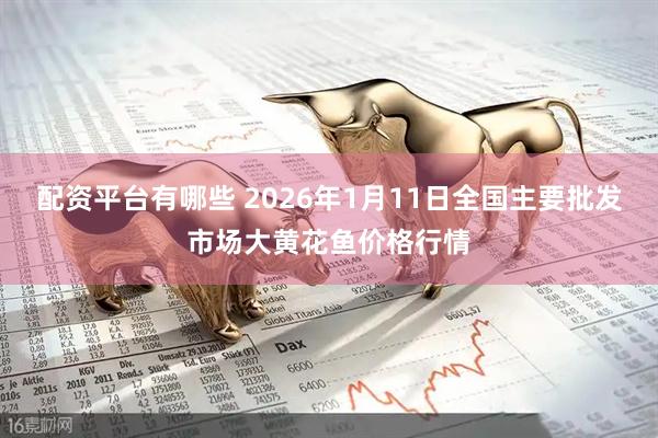配资平台有哪些 2026年1月11日全国主要批发市场大黄花鱼价格行情